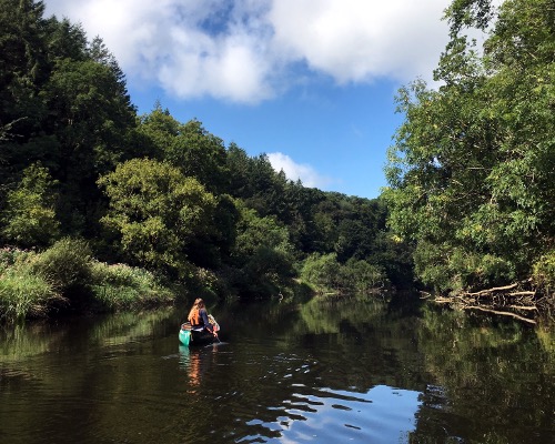 Canoeing on the river Teifi Cardigan