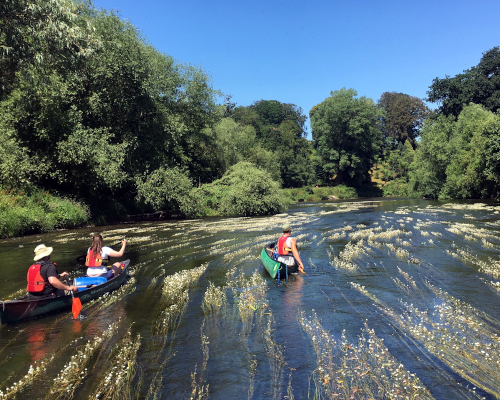 Canoeing through Water crowfoot river Wye