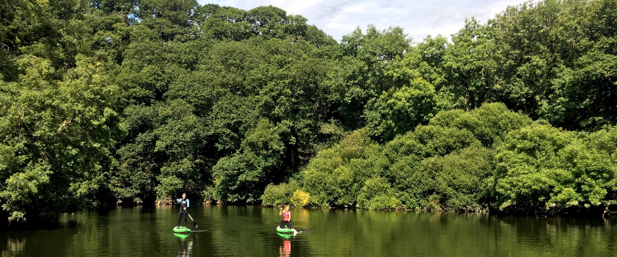 Stand up paddle boarding Cardigan in the Teifi Gorge