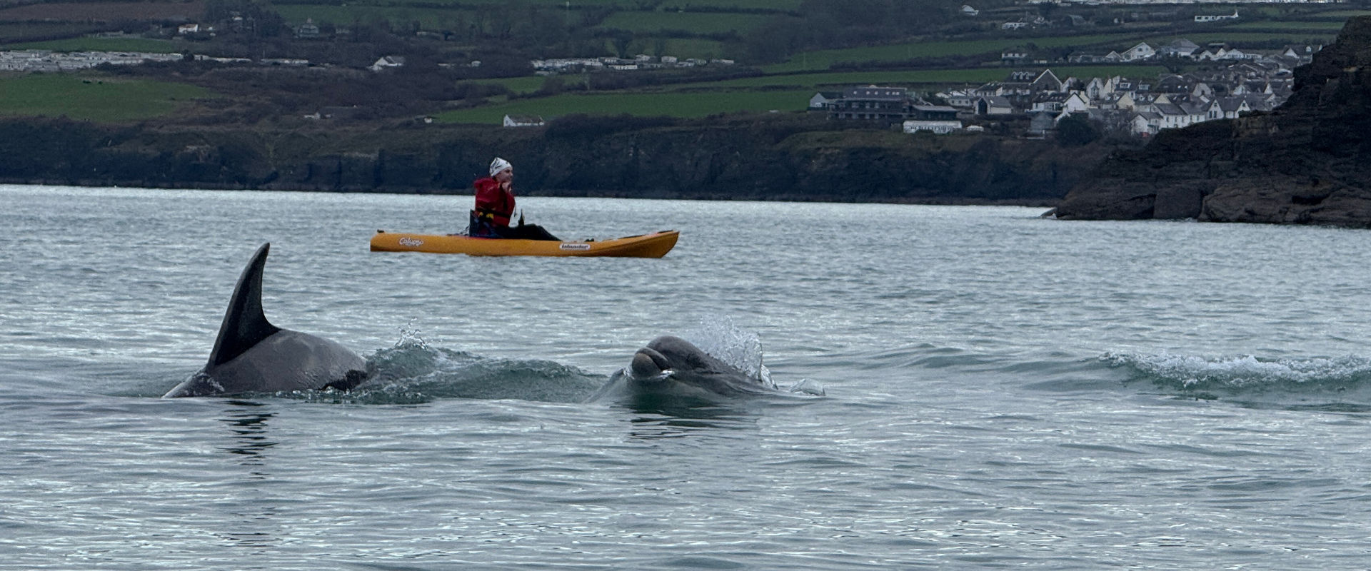 Sea kayaking with dolphins in Cardigan Bay West Wales